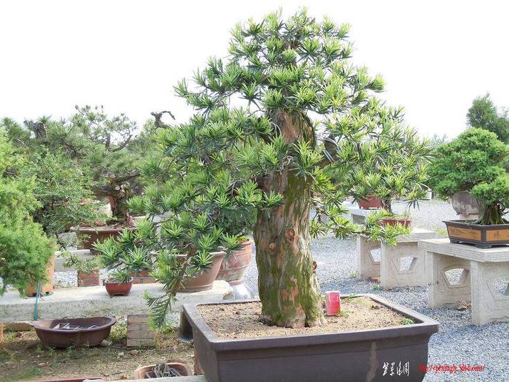 辰5.18 016.jpg