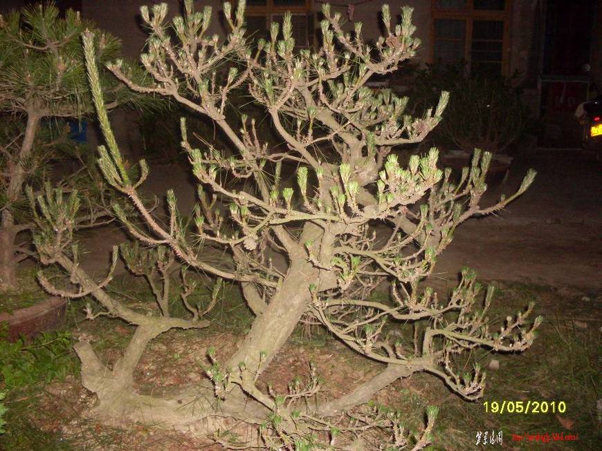 SDC11522.JPG