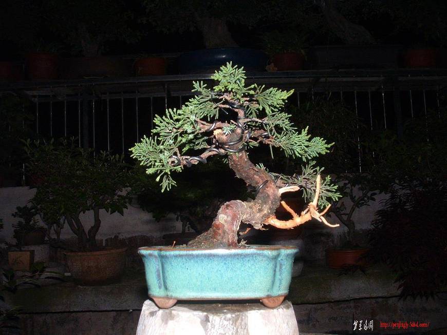 DSCF0384.JPG
