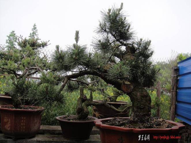 Ƭ 026.jpg