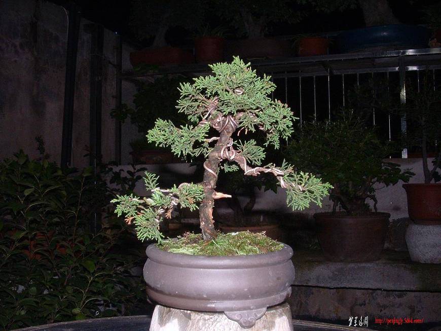 DSCF0257.JPG