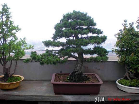 DSCN2643.JPG