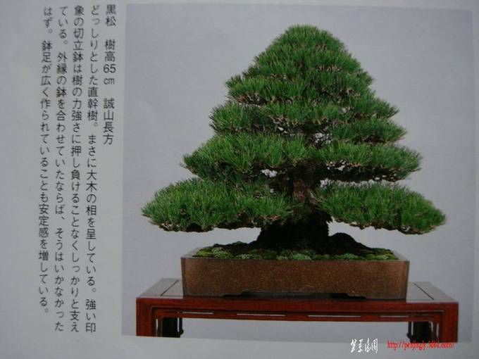 Ƭ 018.jpg