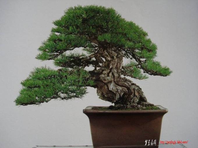 Ƭ 038.JPG