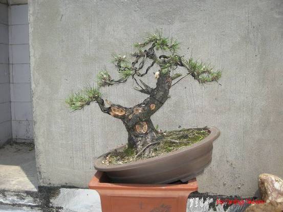 DSCN3769.JPG