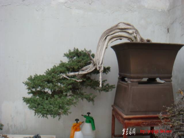 DSC03494.JPG