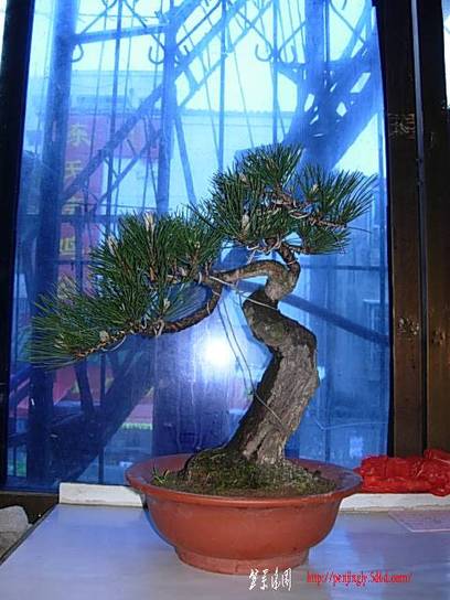 DSCN7042.JPG