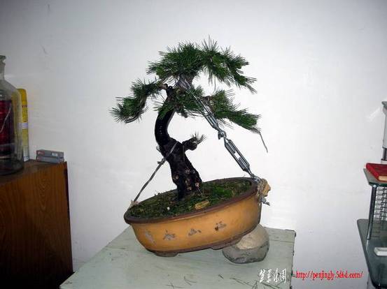 DSCN3791.JPG