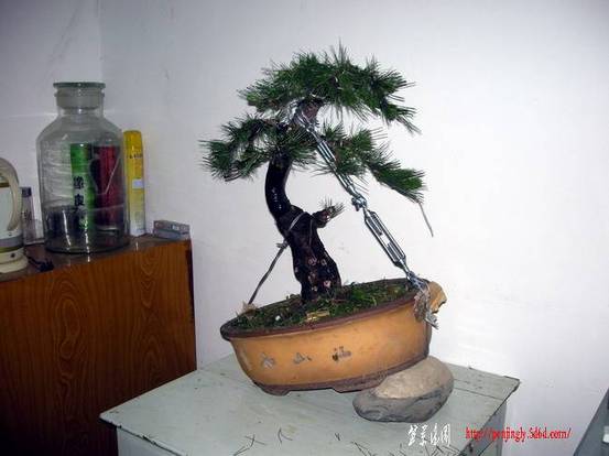DSCN3792.JPG