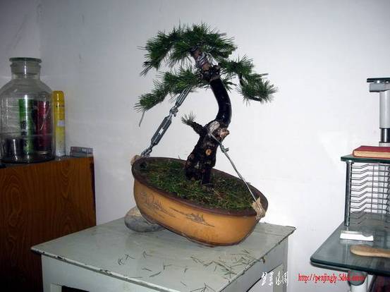 DSCN3788.JPG