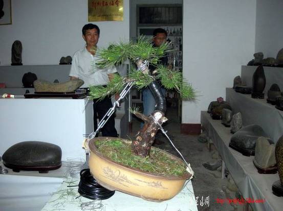 DSCN3786.JPG
