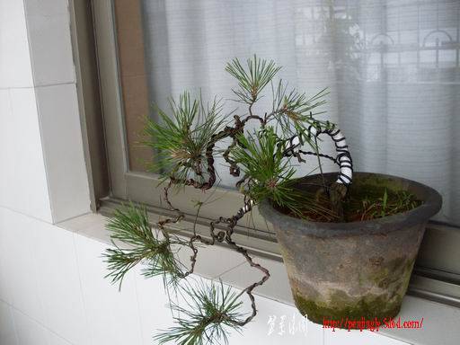 С SDC14419.JPG