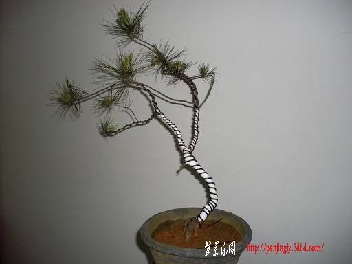 С SDC14098.JPG