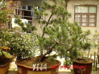 SP_A0114.jpg
