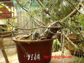 SP_A0115.jpg