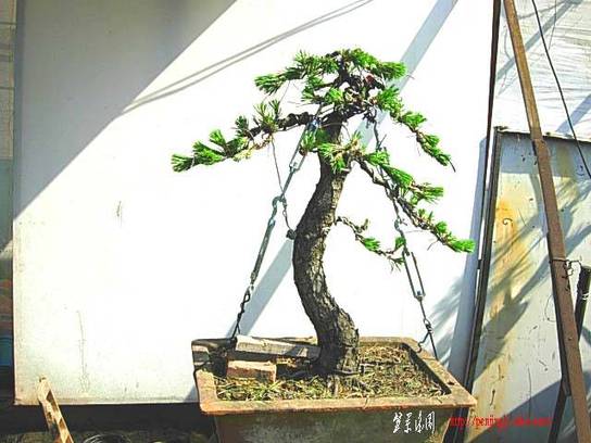 DSCN7064.JPG