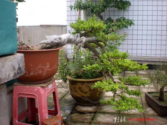 DSCN2649.JPG