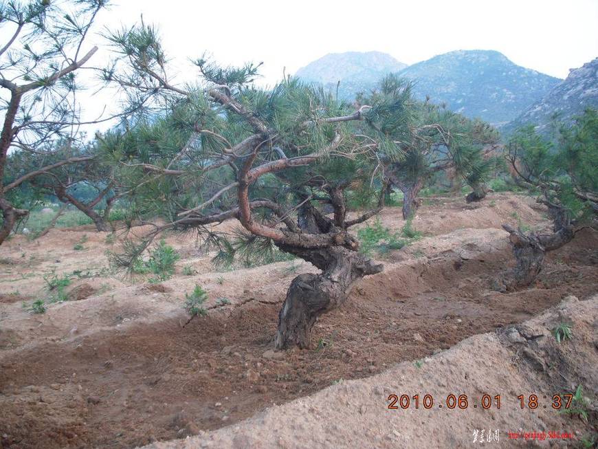 DSCN1614.JPG