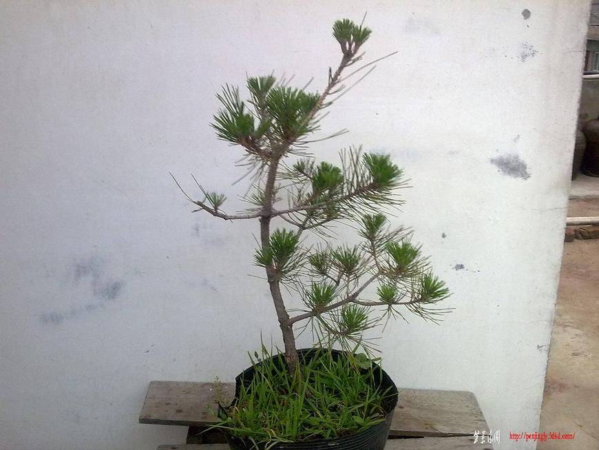 20100612288.jpg