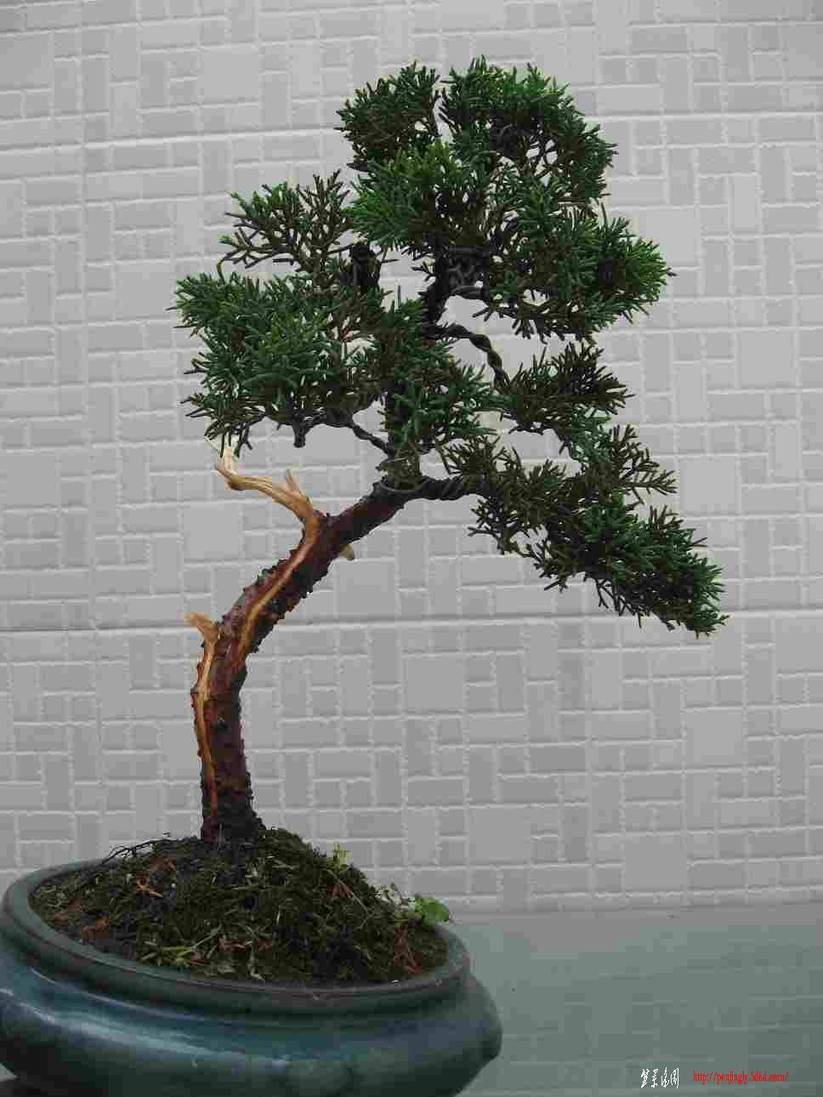 照片 001.jpg