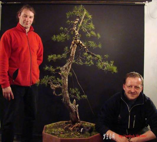 p_310.jpg