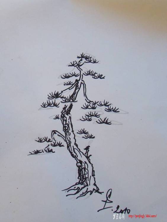 p_110.jpg