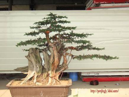 DSCF4359.JPG