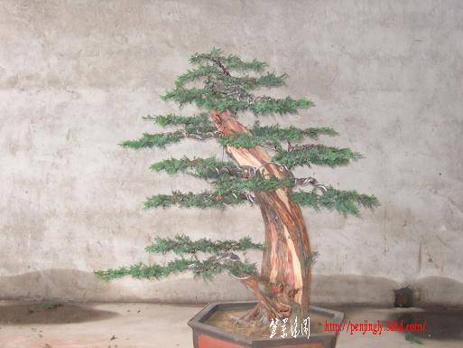 DSCF4319.JPG