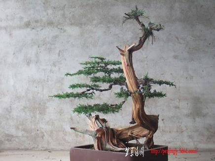 DSCF4353.JPG