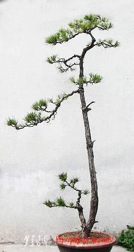 DSCN4864_2.JPG