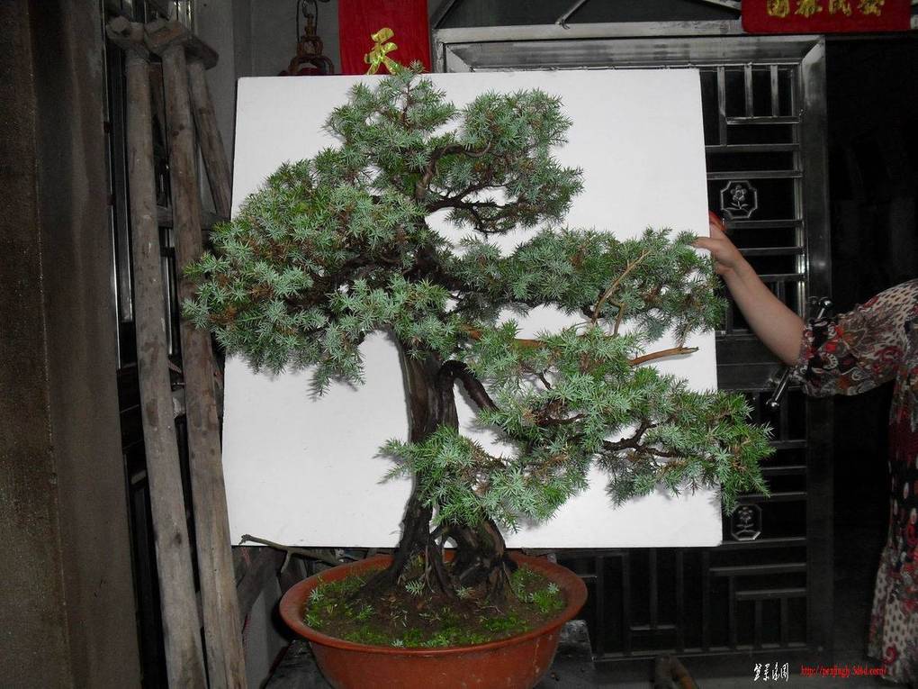 С SDC10715.jpg̰.jpg