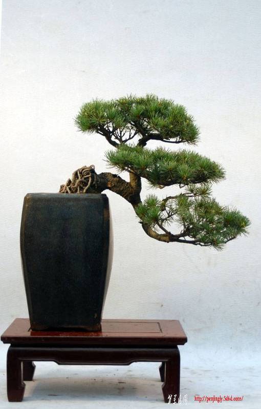 귢辰ͼ109.jpg