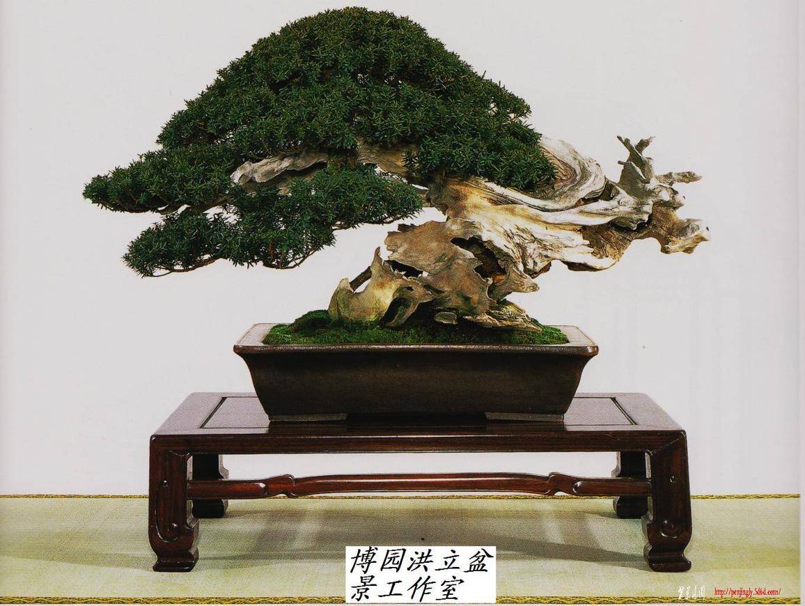 Ƭ 002.jpg