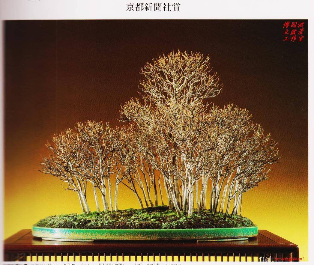 照片 015.jpg