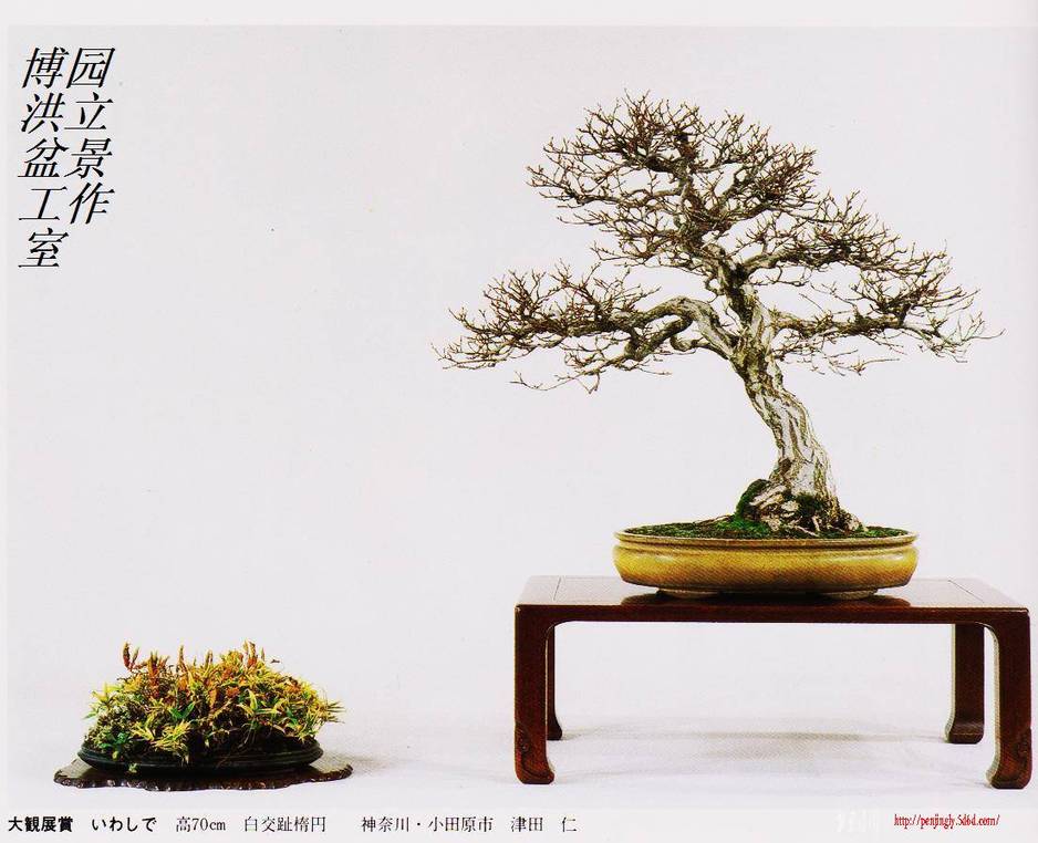 照片 019.jpg