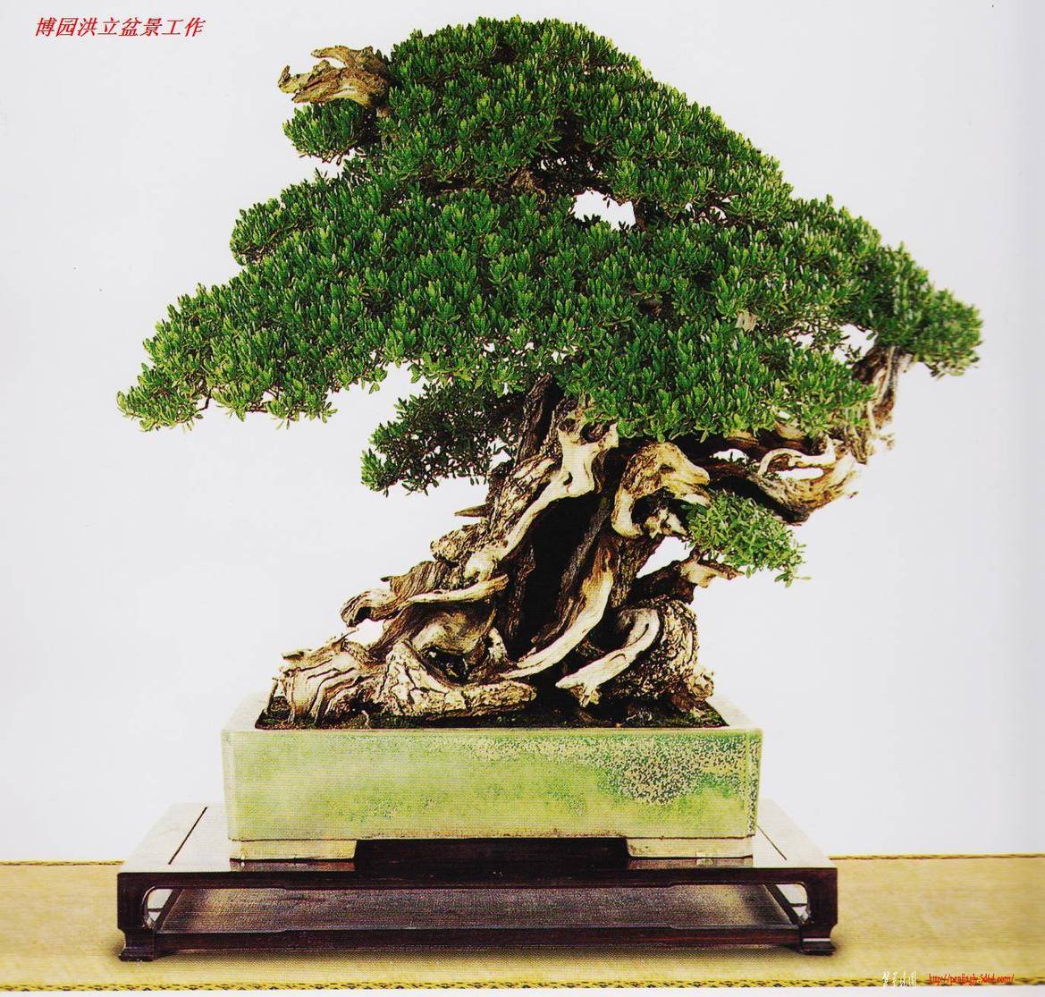 Ƭ 031.jpg