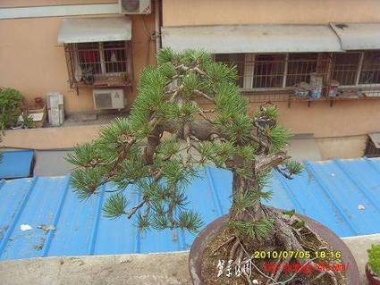 SDC11219.JPG