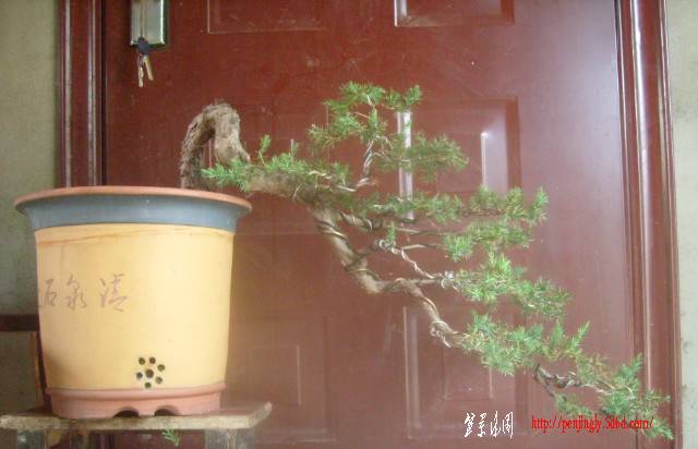 }A9_D1EC]9PEQZ7D7S[NLDU.jpg