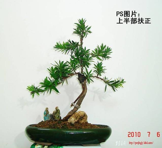 dsc03515-2.jpg