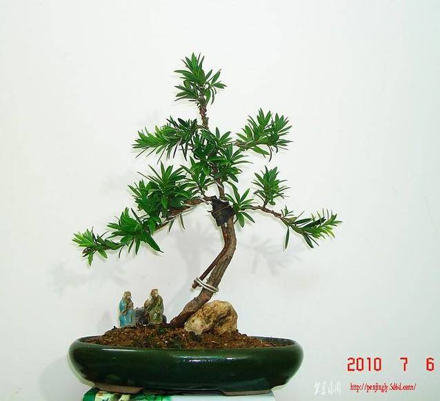 dsc03515-1.jpg