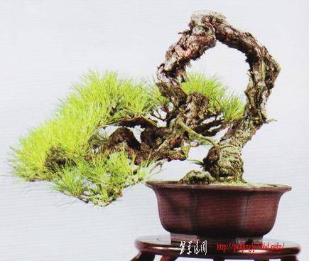 Ƭ 011.jpg
