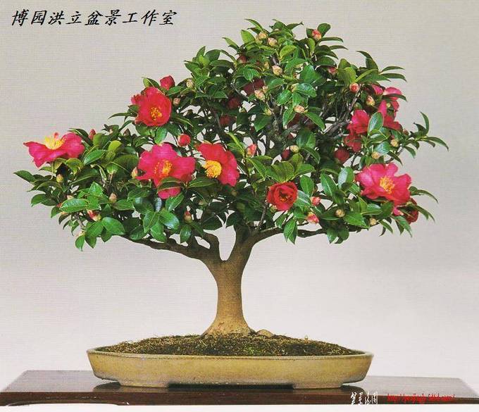 照片 013.jpg