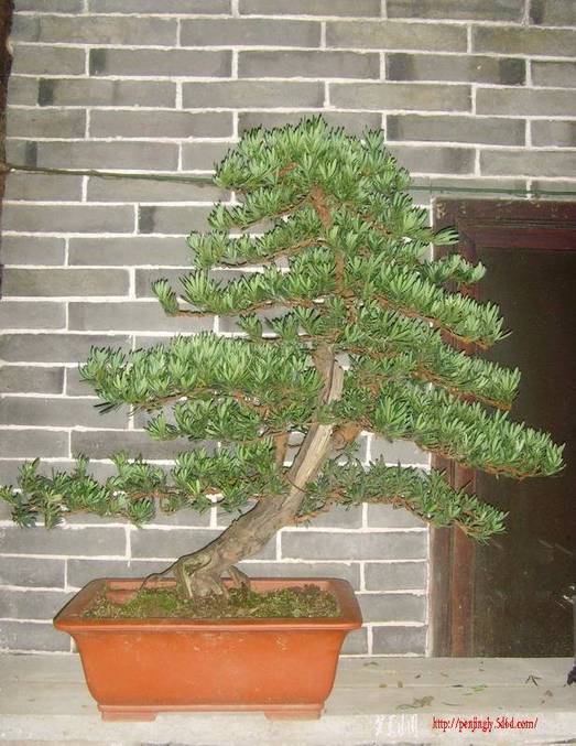 SNV34490.jpg