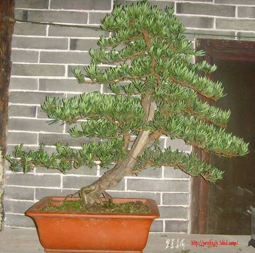 SNV34491.jpg