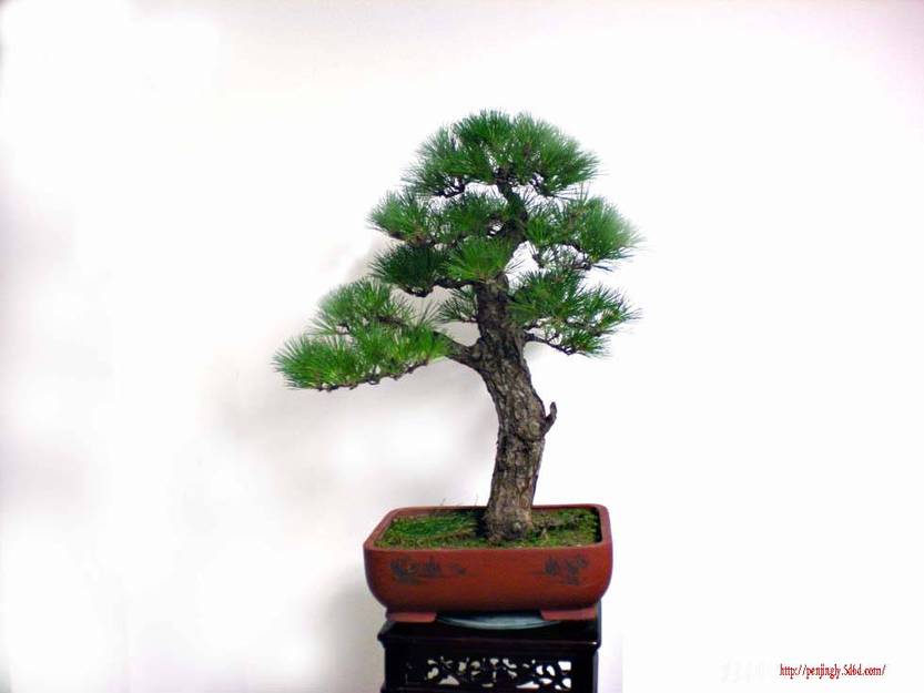 DSCN2715 .jpg
