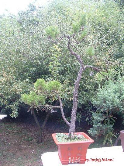 DSCF0391.JPG