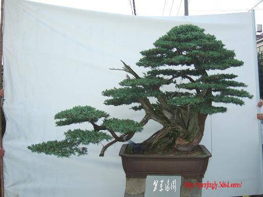 DSCF4429.JPG