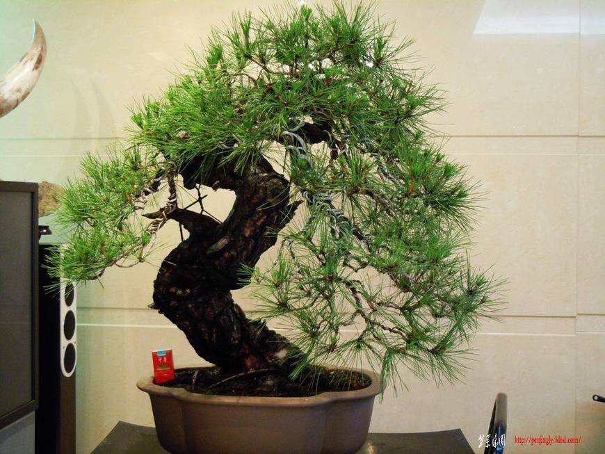 照片 763.jpg