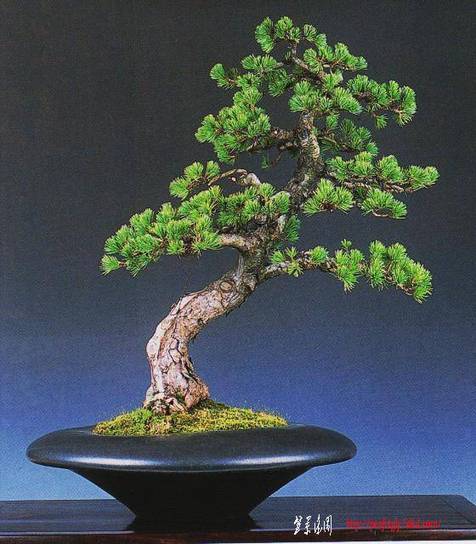 Ƭ 018.jpg