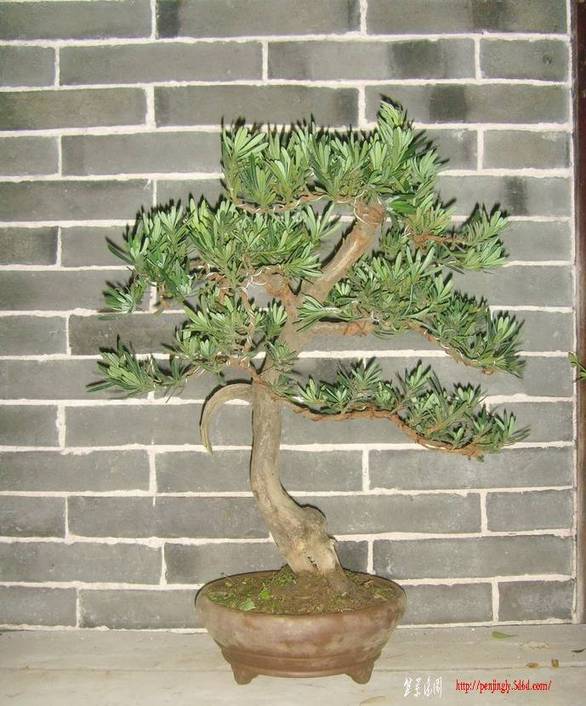 SNV34421.jpg